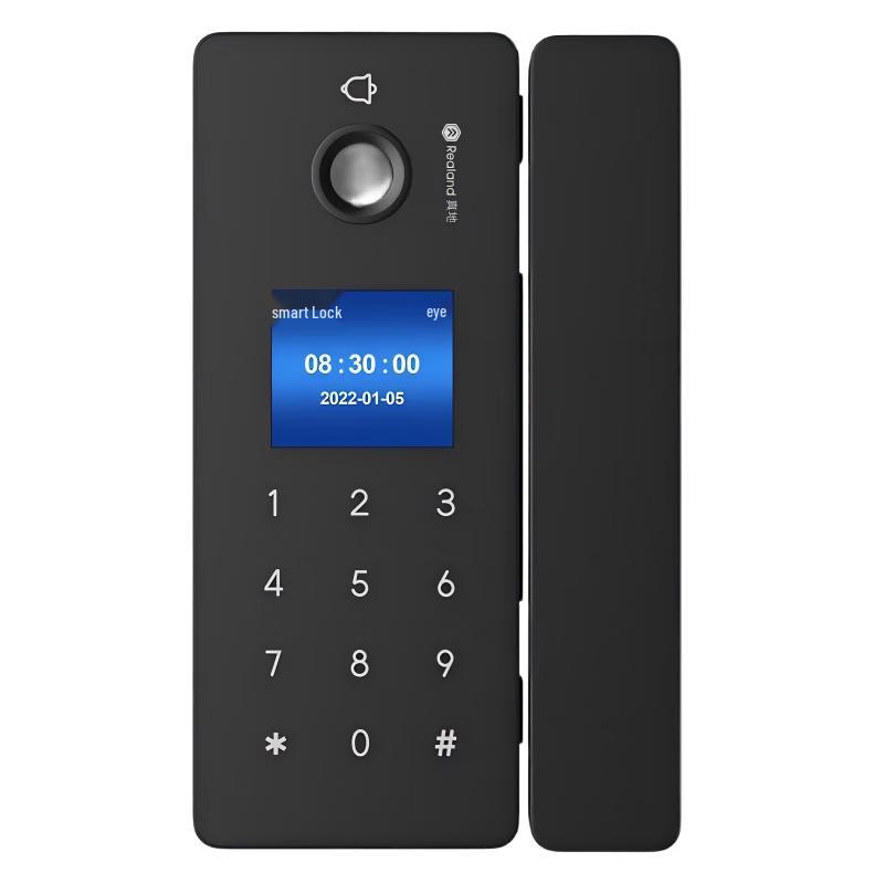 Realand Smart Glass Door Lock