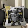 Charles Oliveira Pillow Cushion Cover Pillowcase Living Room Sofa Home Decor Customized
