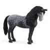 Schleich Horse Club Spansk Häst (kvinna) Figur 13922