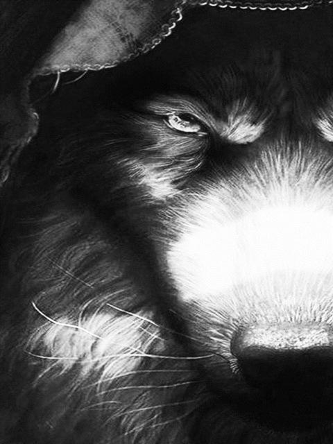 Broderie cu diamante 5D cu punct de cruce Wolf Diamond Art Painting Mozaic alb-negru Cadou lucrat manual