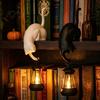 Handmade Style Wall Decor 3D Printed Cat Shelf Sitter with Lantern, Whimsical Figurine Hook for Hooks Bedroom Keys, Decorative Book Edge Statue,
