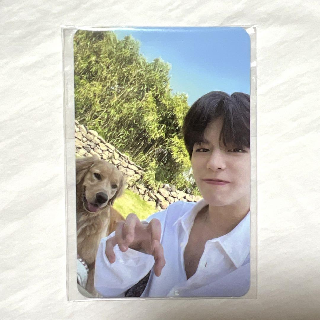 

[USED] Anonymous Shipping Stray Kids Seungmin Trading Card JEJU Jeju Stray Kids