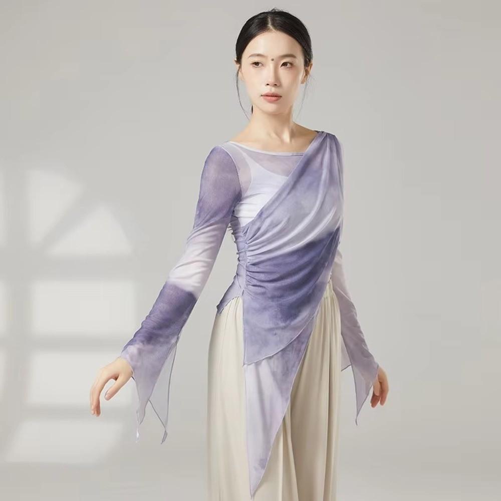 Long Slit Classical Dance Mesh Top Prints Chinese Hanfu  Women Dance Wear