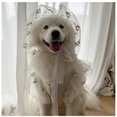 Big Dog Clothes Summer Large Dog Dress + Hat Poodle Schnauzer Corgi Samoyed Husky Labrador Golden Retriever Dog Clothing Skirt