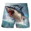 3D Print Shark Short Pants For Men Summer Personality Animal Unisex Harajuku Beach Shorts Vacation Surfing Swim Trunks Clothing