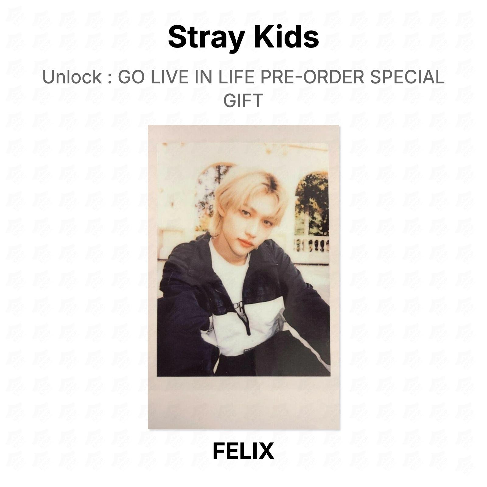 Stray Kids Unlock : GO LIVE