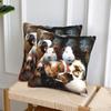 Guinea Pigs 2 Pcs Square Pillowcase Pillow Cover Cushion Zip Decorative Comfort Throw Pillow For Home Bedroom