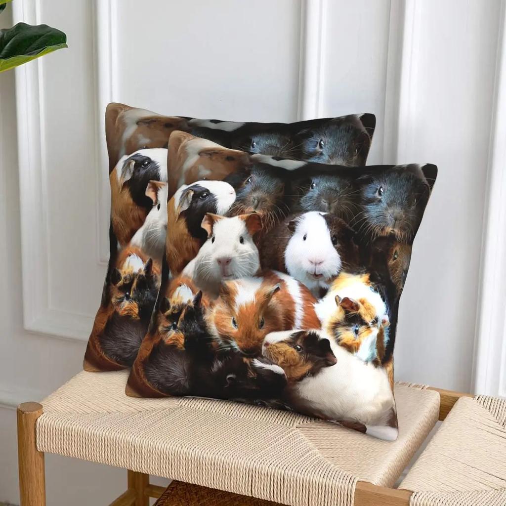 Guinea Pigs 2 Pcs Square Pillowcase Pillow Cover Cushion Zip Decorative Comfort Throw Pillow For Home Bedroom