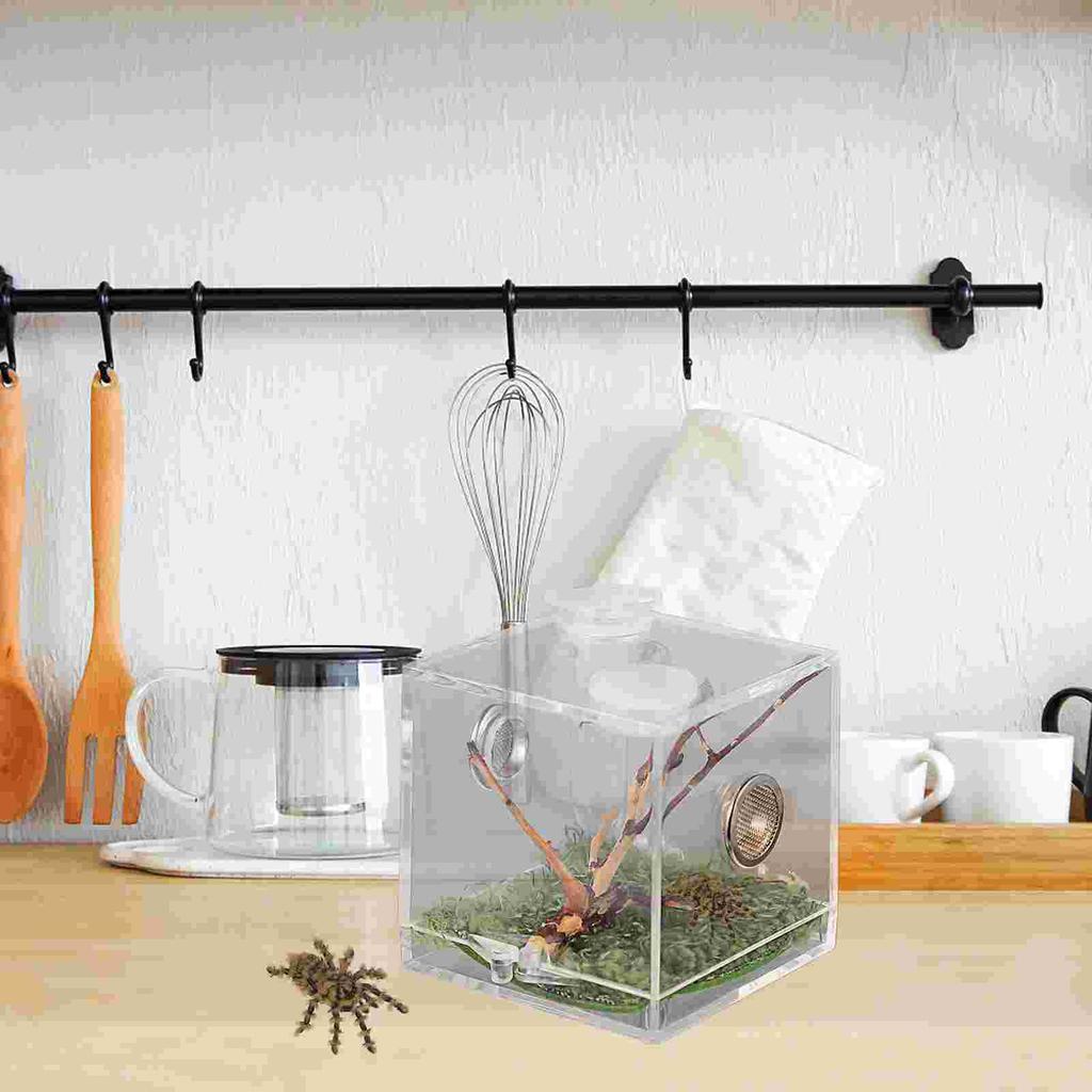 Small Reptile Breeding Box with Dropper and Forceps Pet Terrarium Transparent Acrylic Cage Insect Jumping Spider Feeding Box