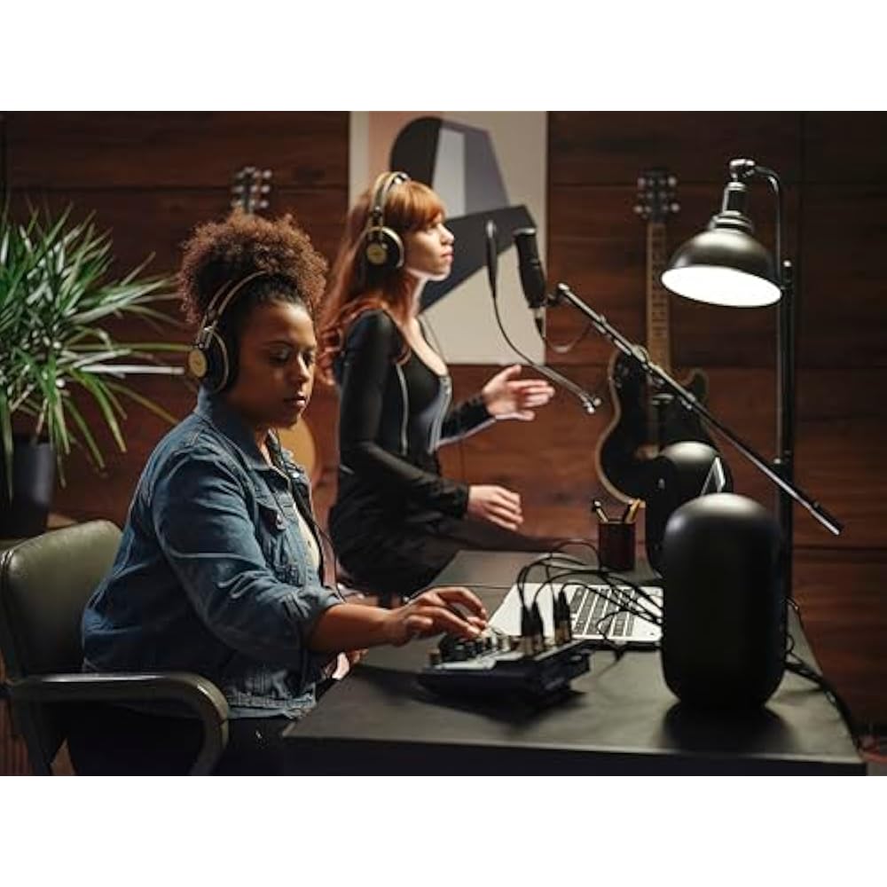 AKG (Arker Game) P120 Project Studio Line [Ideal for Vocal/instrument Recording, Durable All-meta...