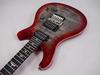 Paul Reed Smith (PRS) SE Custom 24 Floyd (Charcoal Cherry Burst)