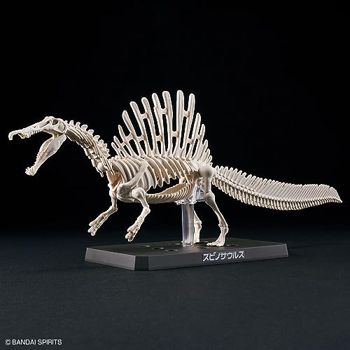 BANDAI SPIRITS Planosaurus Spinosaurus color-coded plastic model