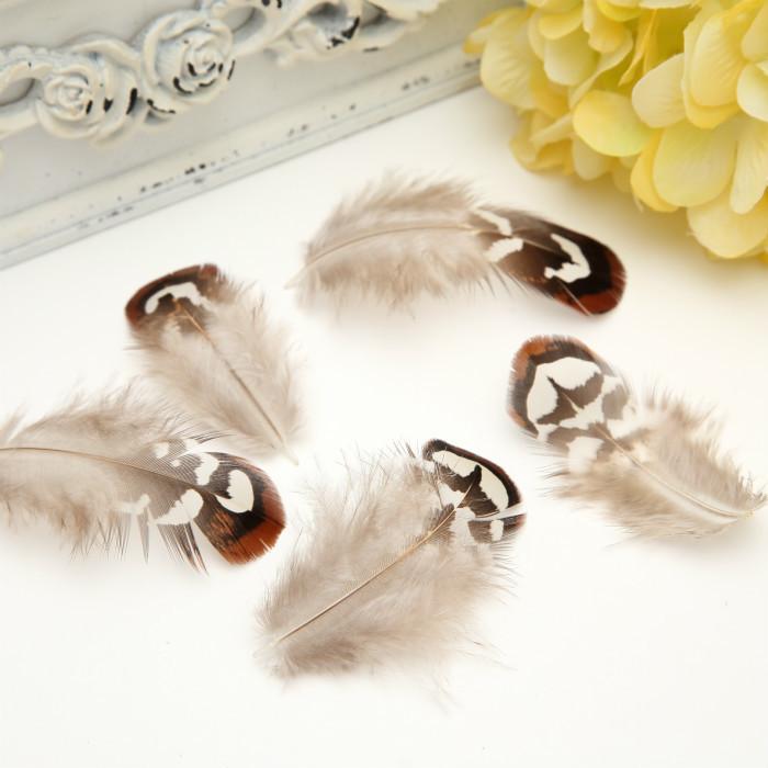50Pcsdiy Jewelry Accessories Feather Diy Feather Headdress Corsage Hat Shoes Handicrafts Decorative Materials