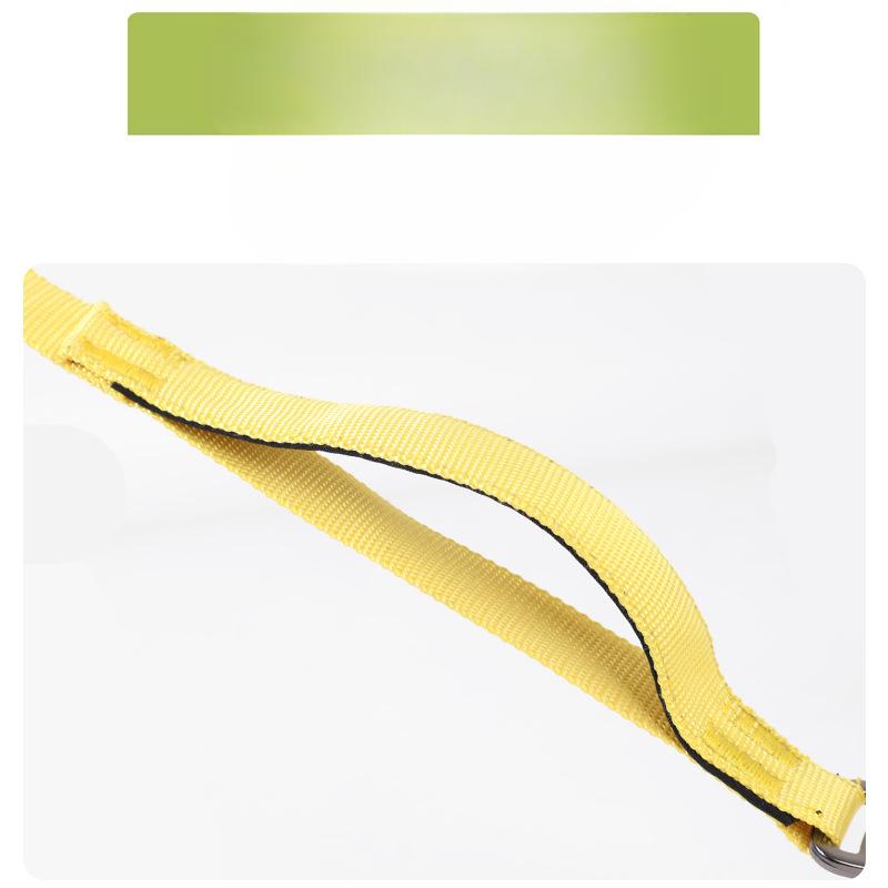 New Multi Functional Explosion Proof P Rope Integrated P Chain Pet Leash Dog Walking Dog Training Dog Leash