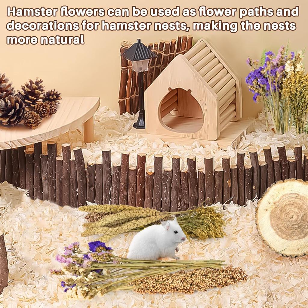 Sukh Natural Hamster Bedding Sprays - Foraging Habitat Decor Cage Accessories, Hideout Enrichment for Dwarf & Syrian Hamsters, Gerbils, Mice and