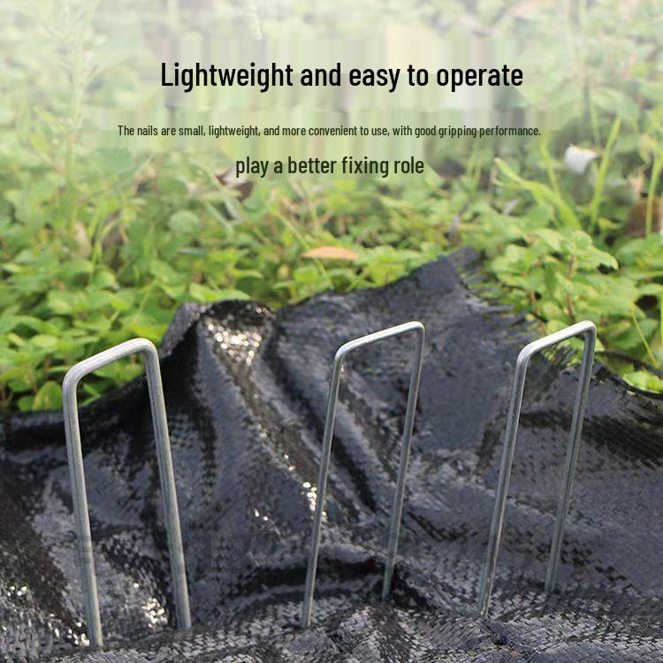 Artificial Turf Green Carpet for Kindergartens & Football Fields