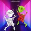 Wind-up Toy 3D Dancing Skull
