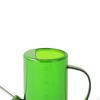 Ergonomic Handle Watering Can for Indoor and Outdoor Use
