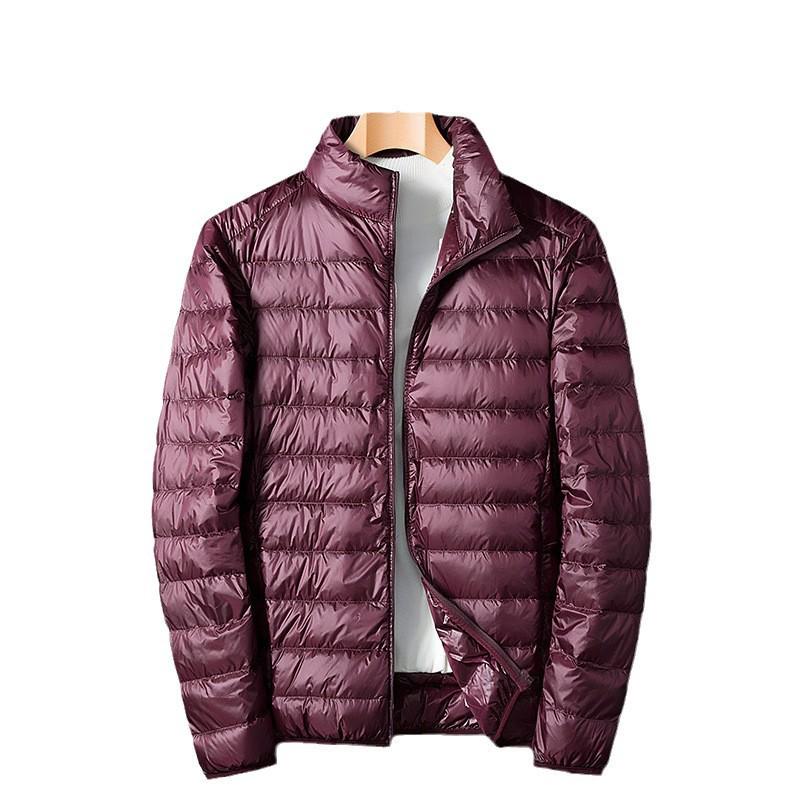 2024 Herren Stehkragen Leichte Warme Daunenjacke - Herbst Winter Freizeit Paarkleidung
