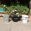 Metal Flower Pot Planters with Handles Decorative Metal Bucket Vintage-Style Country Wedding 13x12cm/5x4.7-inch Durable