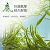 Tè Verde Maojian Yixing Tè Verde Fresco Tè Nuovo 50g