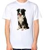 Border Collie Pies Unisex T-Shirt