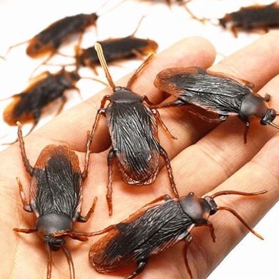 20 Stück Gummi-Skorpion Kakerlake PVC Simulierte Insekten Hohe Qualität Kakerlakenmodell Spielzeug