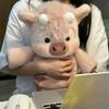 Soft Calf Pig Stuffed Animal Plush Toy Cute Animated Stuffed Animal Pillow Creative Running Pig Plush Toy Gift 17.7inch