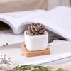 Geometic White Ceramic Square Bonsai Planter Little Succulent Flowerpots Modern Small Cactus Vases Bamboo Tray Office Home Decor
