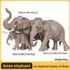Realistic Wild Elephant Action Figure Plaything - Animales Collector, Safari Wildlife Miniature Children-Friendly & Collectors
