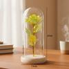 High Quality Wooden Eternal Rose Flower with Transparent Lampshade Exquisite Artificial Flower Simulation Roses Bridesmaid Gifts
