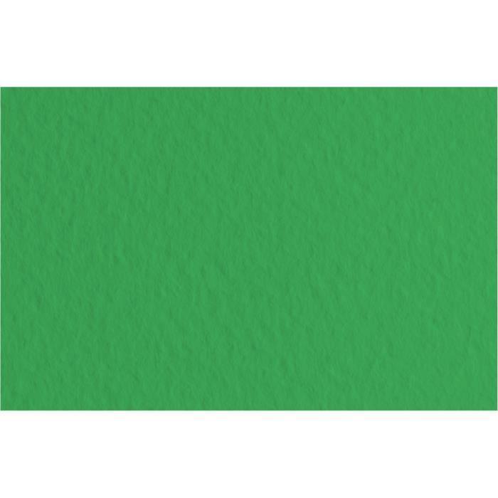 Papier à dessin - FABRIANO - TIZIANO - 10 Feuilles - 50x65cm - 160gsm - Vert pré 12
