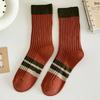 Female Spring and Autumn Tide All Match Stripe Match Color In Tube Cotton Socks