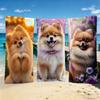 Pomeranian Cute Towel For Outdoor Camping Beach Towel Super Absorbent Quick-Drying Summer Puppies Towel