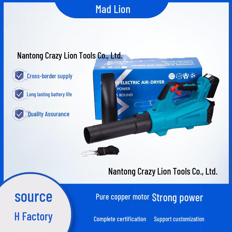 High-Power Portable Wireless Lithium Battery Multi-Functional Blower & Hair Dryer Single Battery Set
