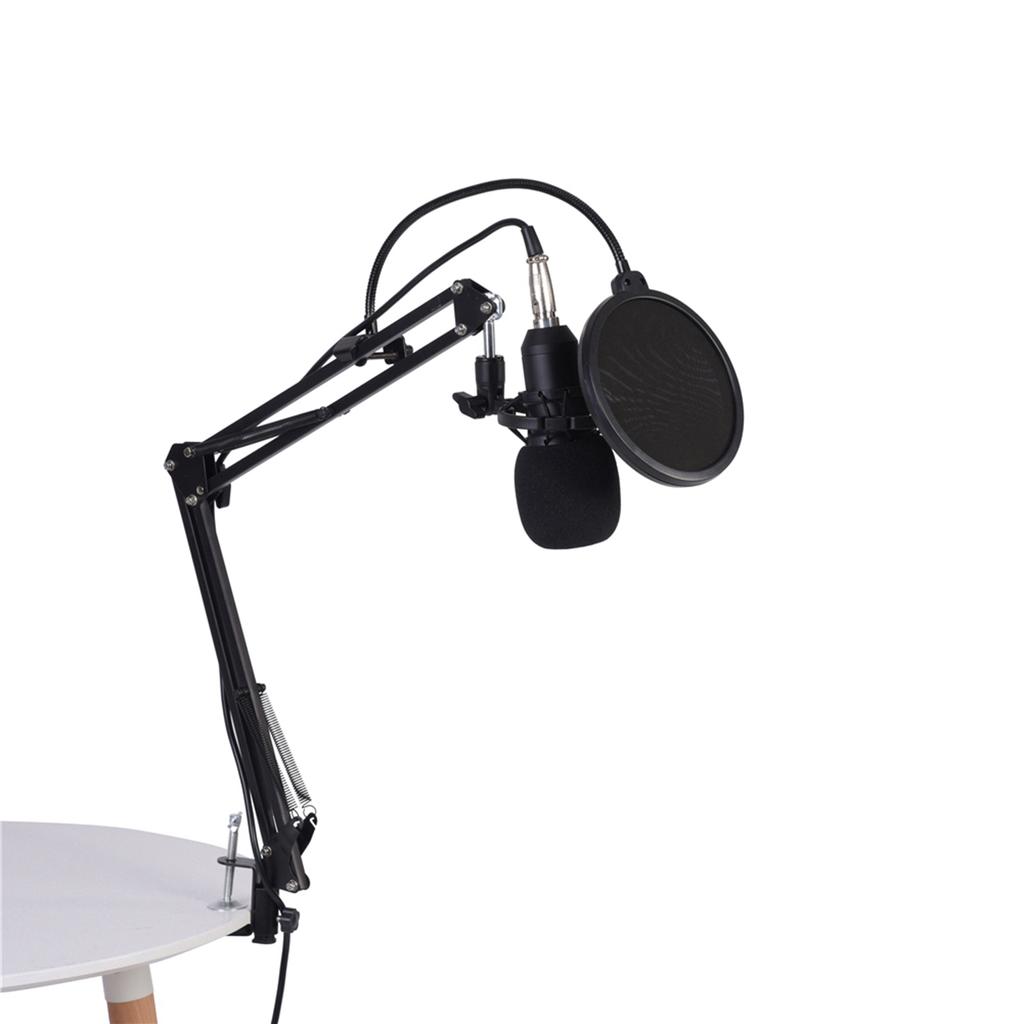 BM800 Studio Condenser Microphone Arm Stand Pop Filter Foam Cap Kit Record Accessory