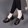 Mesh high heels women's shoes 2025 spring new round head thick heel cow patent leather women's single shoes mesh polka dot fashion shoes