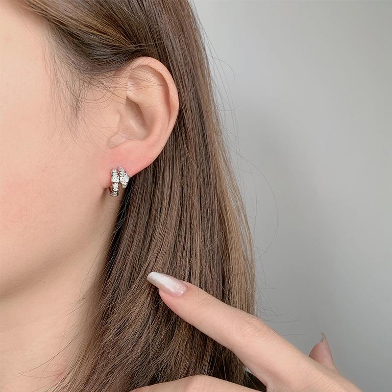 2023 Stylish Snake-Shaped Zircon Earrings: High-End, Luxurious Design for Women