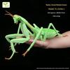 Realistic Insect Figure Collection Set Wasp Mantis Cicada Pupa Rhinoceros Beetle Nature Model Toy Gift For Fans Collectors