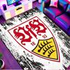 VfB Stuttgart Print Rug, Washable Floor Carpet, For Entryway Dorm Laundry Room Office Study, Home Decor Birthday Christmas Gift