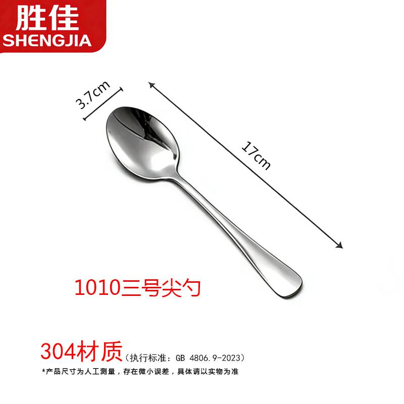 Shengjia 304 Stainless Steel Spoon