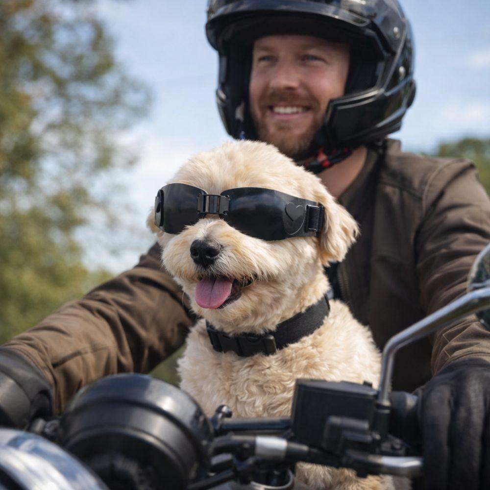 Cool Style UV Protection Folding Dog Goggles Windproof Adjustable Puppy Sunglasses Dustproof Dog Eye Wear Cats Dogs Use