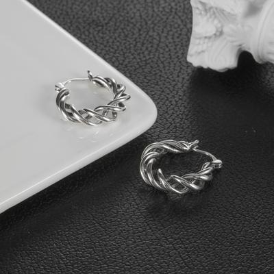 Wrapped Earrings Women's Fashion Ins Style Niche Design Premium Ear Buckles