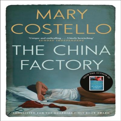 The China Factory by Mary Costello Paperback Book 9781782116011
