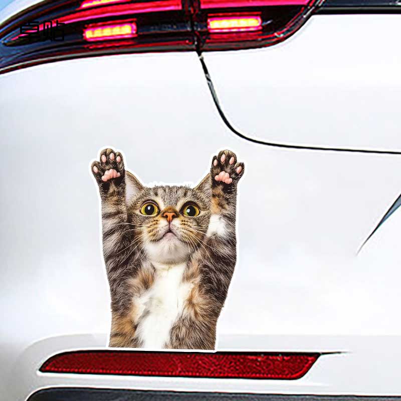 Funny Cat Car Sticker Vinyl Decal Waterproof Rear Window Motorcycle Camper Bumper Truck Laptop Decoration Y22