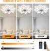 Versatile Ceiling Fan Lamp for Living, Dining, or Bedroom (110-220V, US Standard)