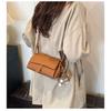 Ielgy All-Match Cross-Body Small Square Bag