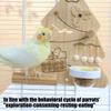 Bird Toy Chewing Christmas Tree Shaped Chewing Bird Playground Interactive Wooden Climbing Perch Enrichment For Cage Inside