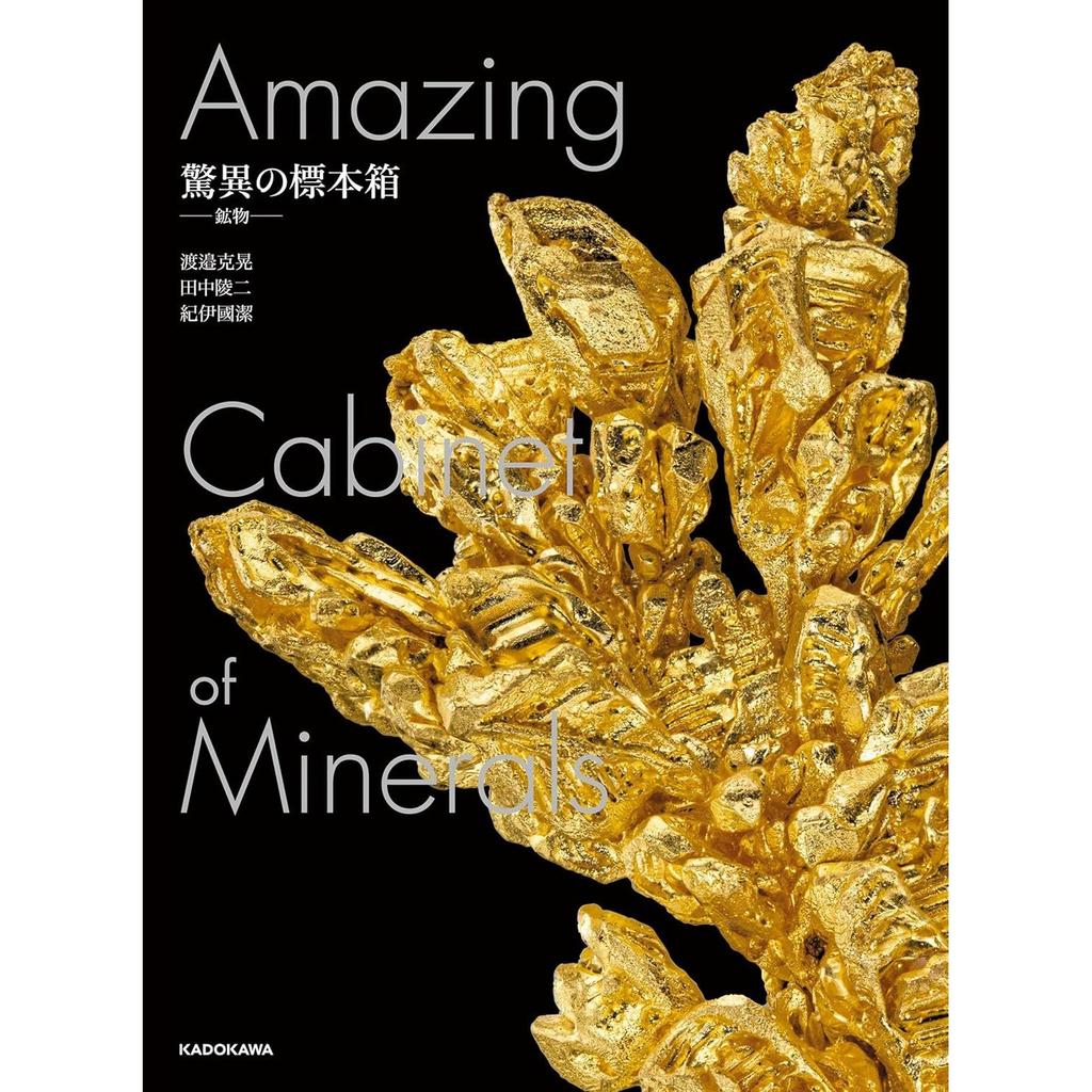 Amazing Specimen Box - Minerals (Kadokawa Shoten Hardcover)