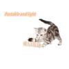 Cat Toys For Indoor Cats, 2 In 1 Cat Stick With Powerful Suction Cup Cat Feather Plaything With Bell Self-Play Cat Teaser Stick